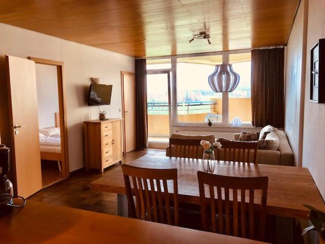 Panoramic Apartments Hohegeiß מראה חיצוני תמונה