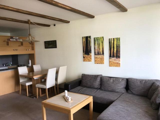 Panoramic Apartments Hohegeiß מראה חיצוני תמונה