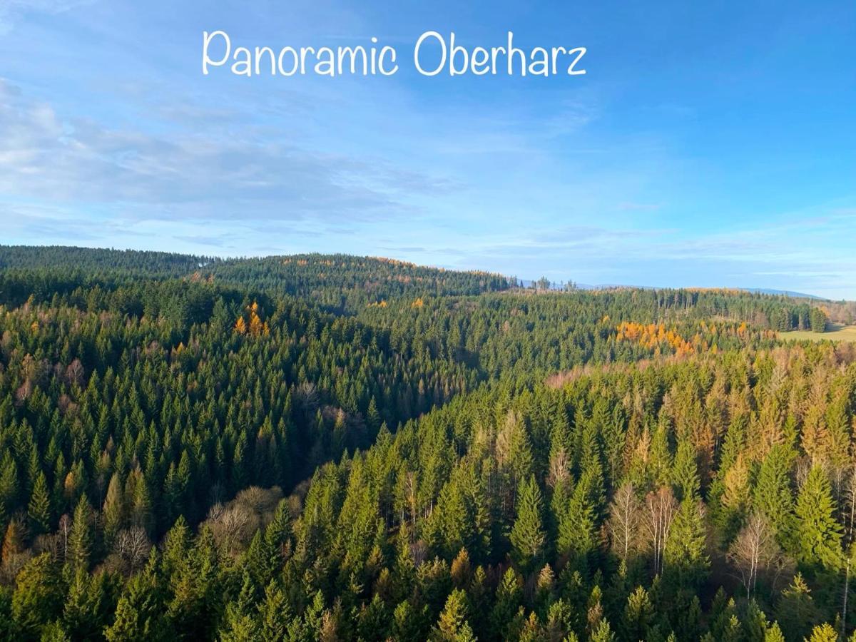 Panoramic Apartments Hohegeiß מראה חיצוני תמונה