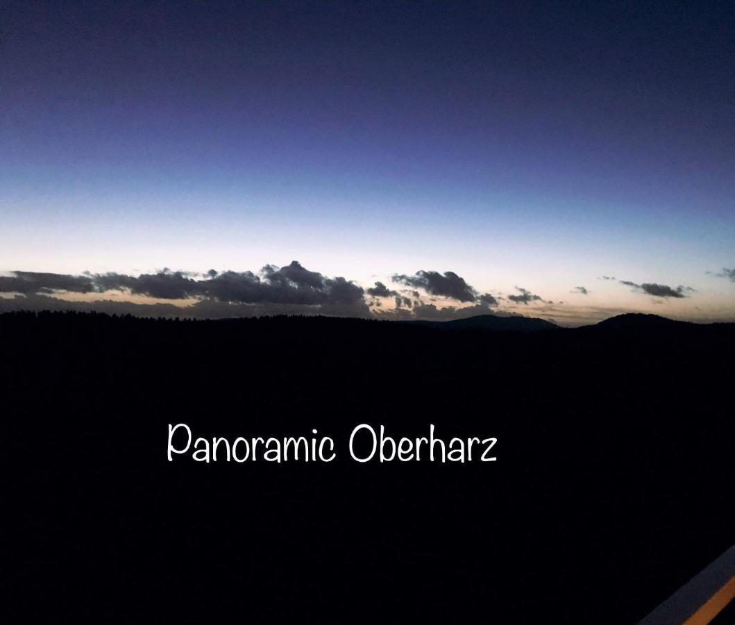 Panoramic Apartments Hohegeiß מראה חיצוני תמונה